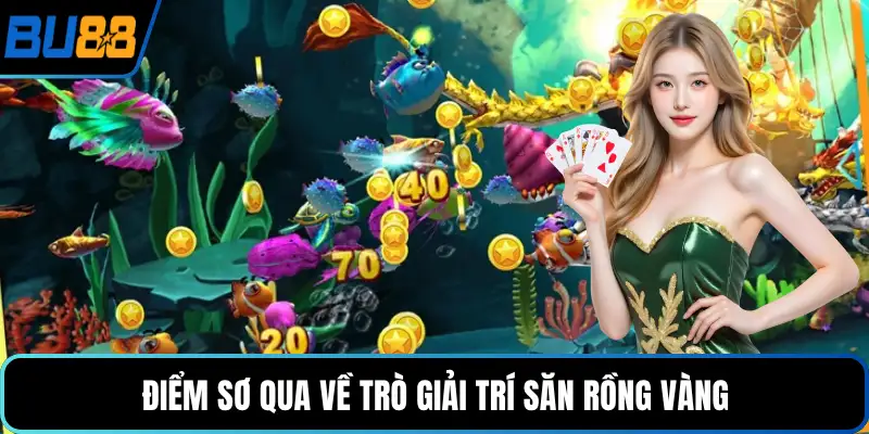 Điểm sơ qua về trò giải trí săn rồng vàng