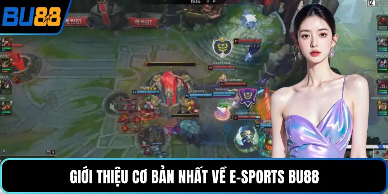 Giới thiệu cơ bản nhất về E-Sports BU88