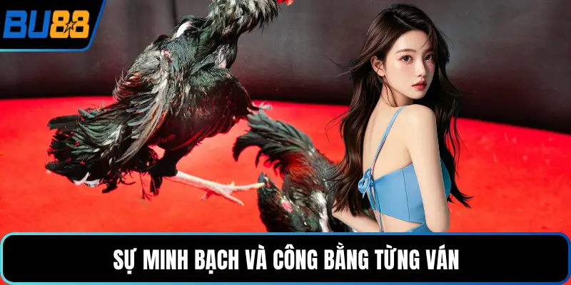Sự minh bạch và công bằng từng ván