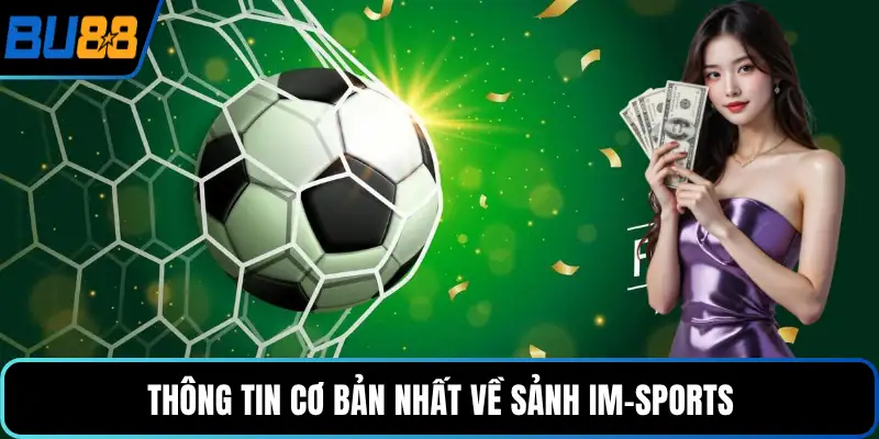 Thông tin cơ bản nhất về sảnh IM-Sports